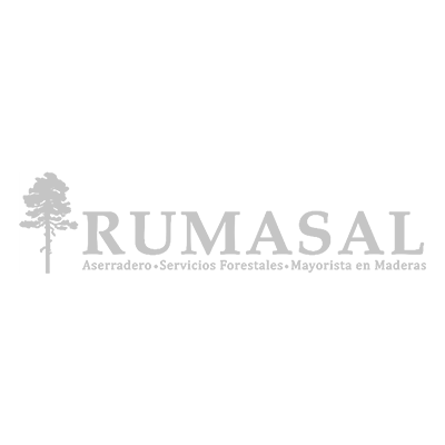 Clientes TraduChile